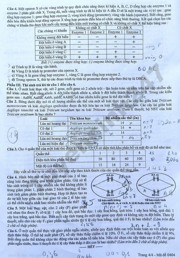 De thi thu tot nghiep THPT 2026 mon Sinh - So GD Quang Tri