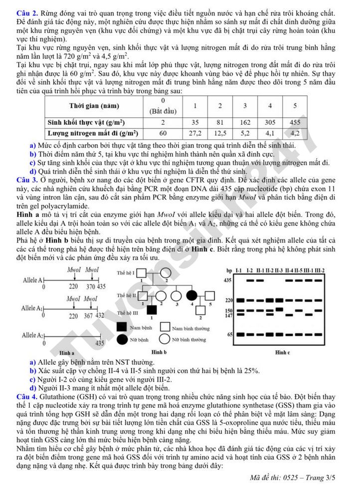 De thi thu TN THPT 2026 mon Sinh (dot 2) - So GD Nghe An