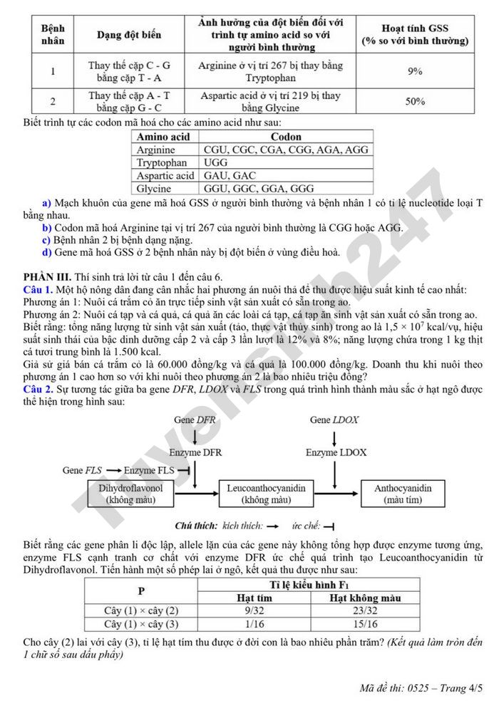 De thi thu TN THPT 2026 mon Sinh (dot 2) - So GD Nghe An