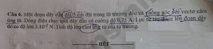 De thi hoc ki 2 mon Ly lop 12 - THPT Vo Thanh Trinh 2026
