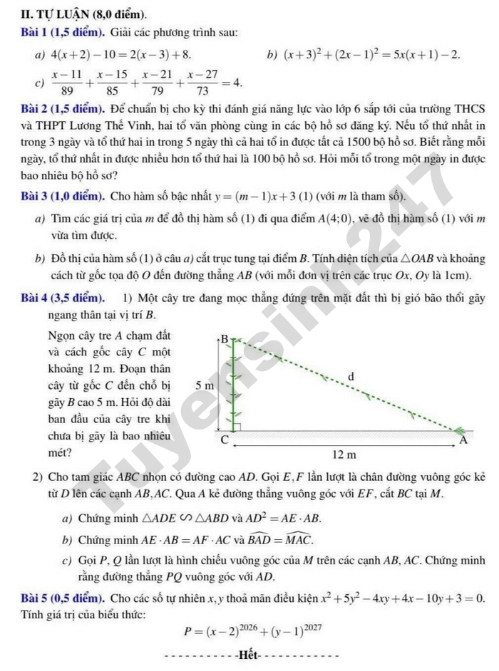 De thi hoc ki 2 nam 2026 lop 8 mon Toan - THCS&THPT Luong The Vinh
