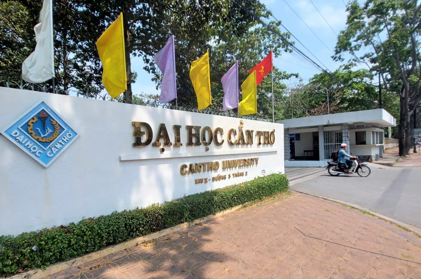 Thu tuong quyet dinh sap nhap mot so truong cao dang vao dai hoc