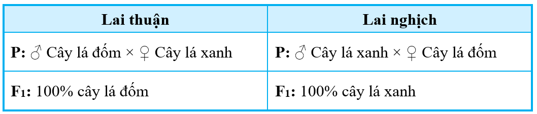 Năm 1909, Coren (Correns) đã tiến hành phép lai thuận nghịch trên cây hoa phấn (Mirabilis jalapa) và thu được kết quả như sau:Nếu cho các cây F1 ở phép lai thuận