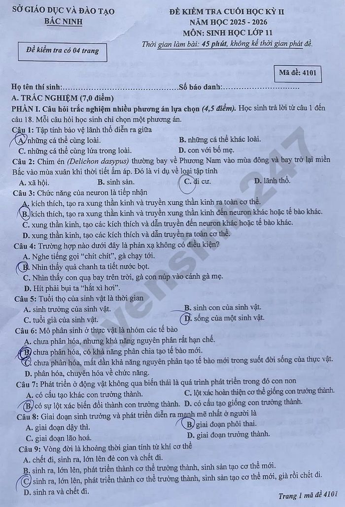 De thi hoc ki 2 nam 2026 So GD Bac Ninh - lop 11 mon Sinh