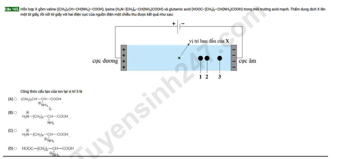 Dap an de tham khao DGNL Quan doi (QDA) 2026 - Phan Khoa hoc mon Hoa (Ma QD1+QD2)