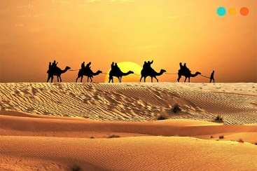 Phân biệt Desert và Dessert trong tiếng Anh - Step Up English