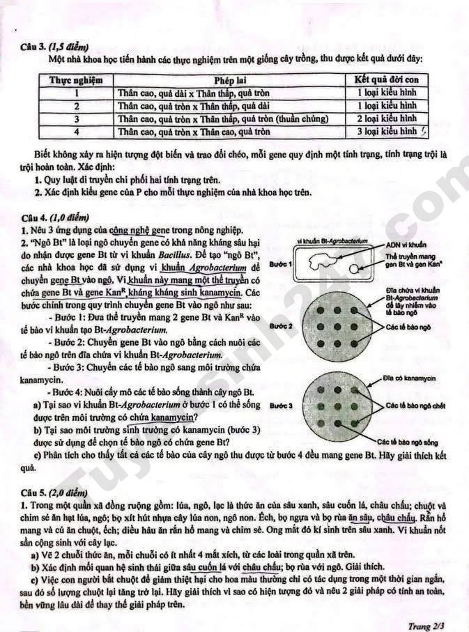 De thi mon Khoa hoc Tu nhien lop 10 - chuyen Hung Yen 2026-2027