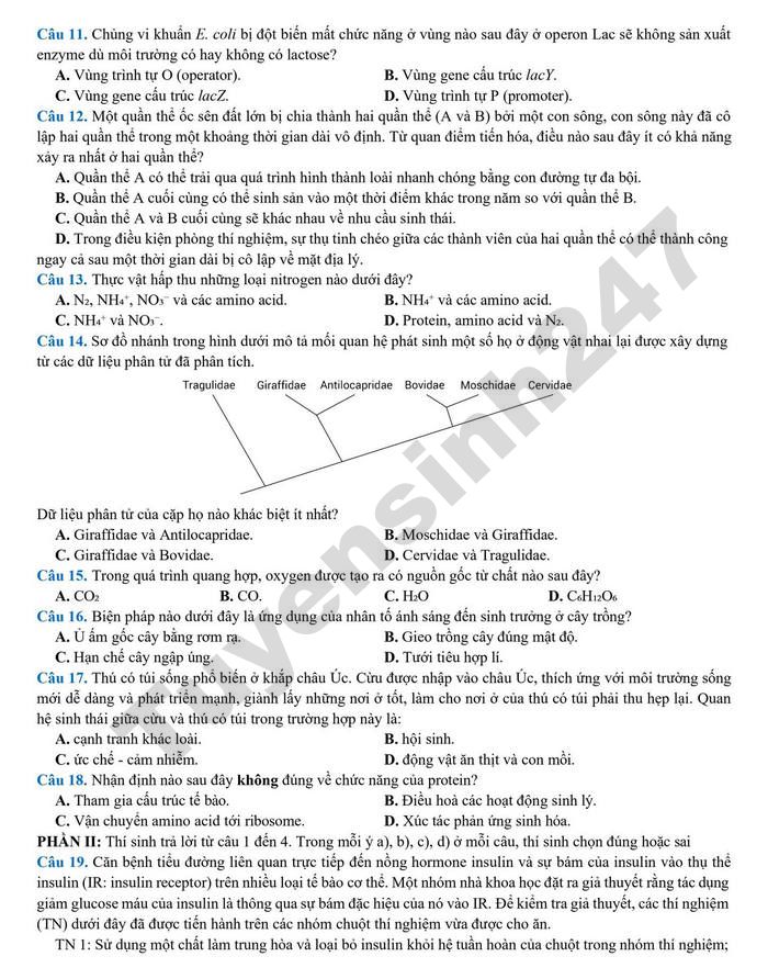 De thi thu tot nghiep THPT 226 mon Sinh - THPT Chuyen Le Quy Don