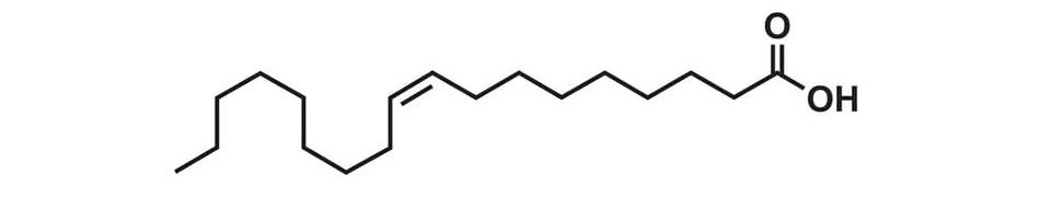 Omega 9: Hoạt chất giúp bổ sung năng lượng, giảm stress