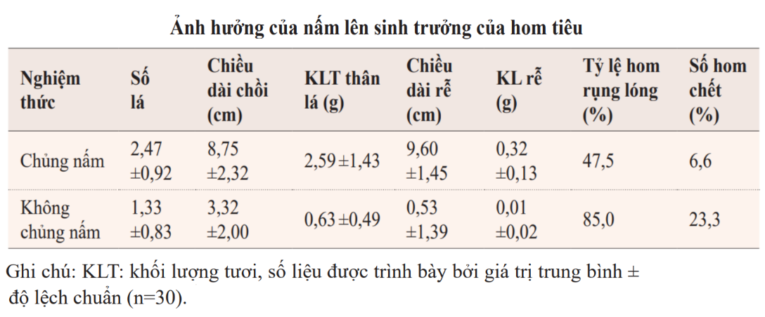 https://images.tuyensinh247.com/picture/2025/1218/cau-hoi-1766044796886-1.png