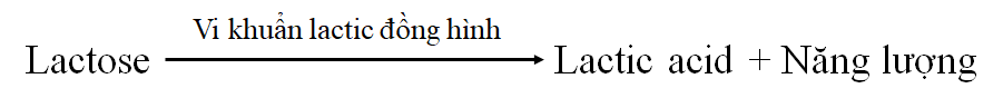 https://images.tuyensinh247.com/picture/2026/0407/cau-hoi-1775544489472-1.png