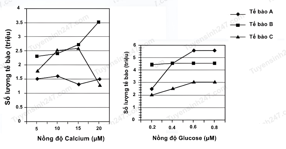 A graph of different types of glucose
Description automatically generated with medium confidence
