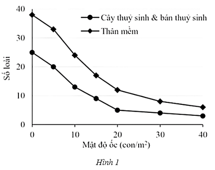 https://images.tuyensinh247.com/picture/2025/0912/cau-hoi-1757650974735-1.png