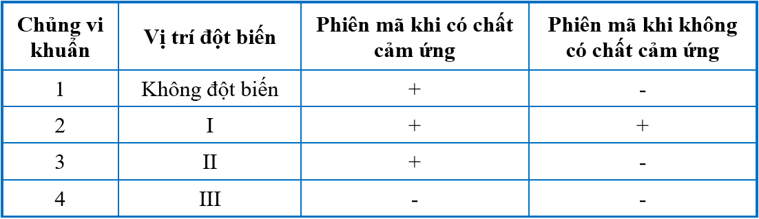https://images.tuyensinh247.com/picture/2025/0821/cau-hoi-1755752043246-1.png