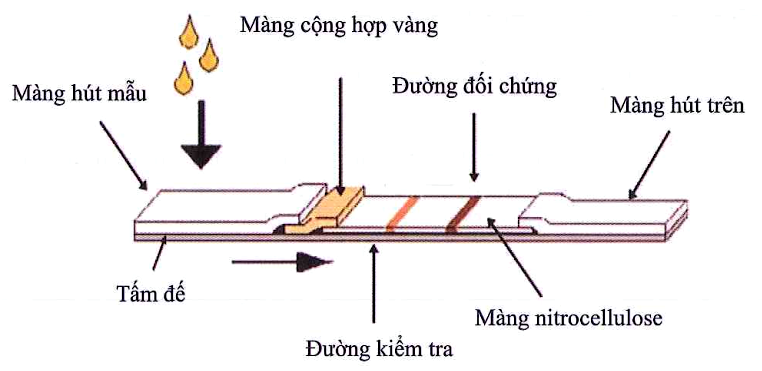 https://images.tuyensinh247.com/picture/exam_room/ts247/images/bk-1.png