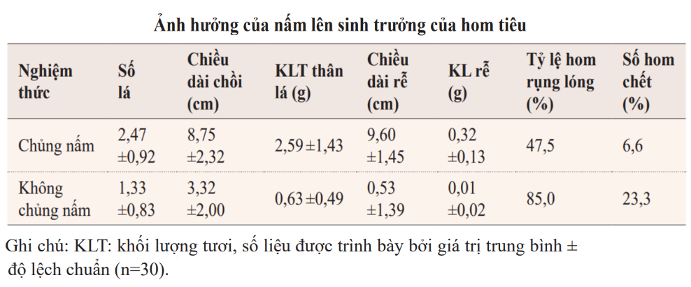 https://images.tuyensinh247.com/picture/2025/1218/cau-hoi-1766027803665-1.png