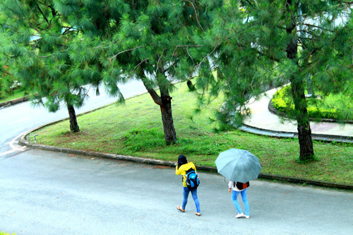 Ngam 2 truong Dai hoc hien dai bac nhat TP.HCM