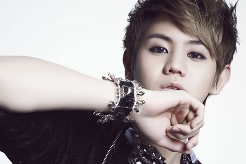 FC Kpop Việt đón thần tượng thế nào