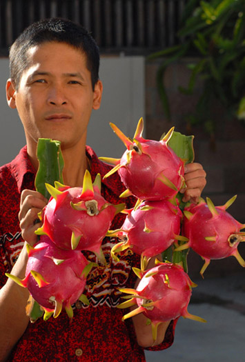 Người Việt trồng hoa, quả bán Tết ở Hoa Kỳ