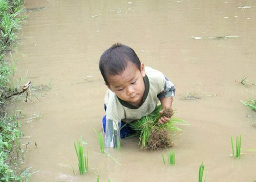 Hình ảnh cậu bé ngoan ngoãn