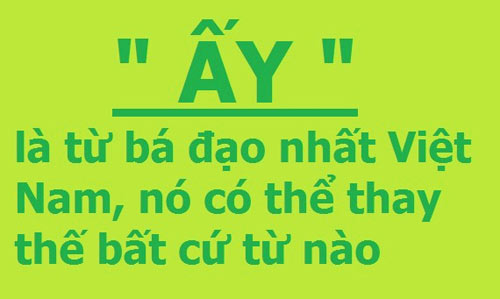 Cộng đồng mạng thích thú với hình ảnh về ý nghĩa "siêu" rộng và đa dạng của từ "ấy" trong tiếng Việt.