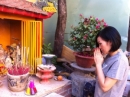 Sao Việt rộn ràng lên chùa cầu may