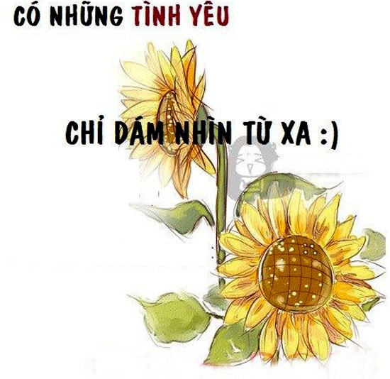 Noi long yeu don phuong