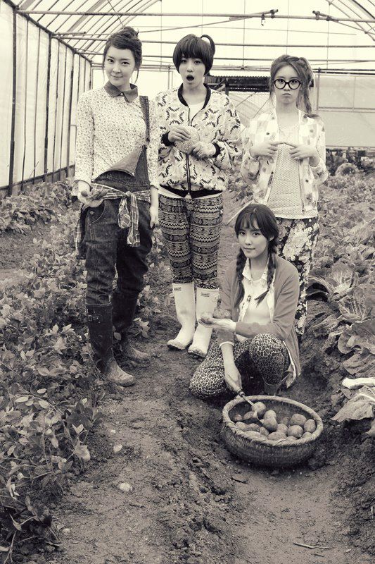 T-ara N4 tung cung luc 2 MV Countryside Life khien fan \