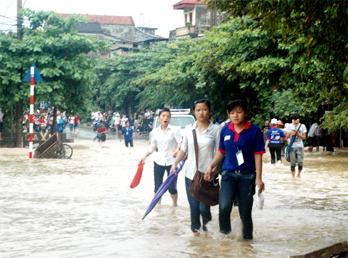 Toi truong thi lam thu tuc du thi dai hoc bang xe quan dung