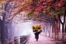 Chớm thu Hà Nội!
