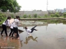 Nhất quỷ nhì ma, thứ ba học trò