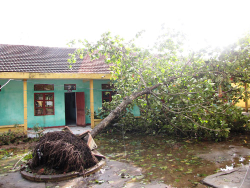 Chưa thể dạy học