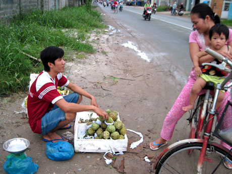 Ngoài giờ học, Minh Dương bán trái cây để kiếm tiền nuôi việc học.