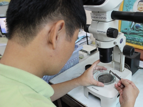 Nhiều tiến sỹ ở Viện Hàn lâm Khoa học và Công nghệ Việt Nam có mức lương hơn ba triệu đồng một tháng. Ảnh: Nguyễn Hoài