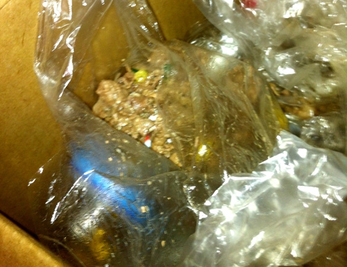 4 gói thịt bò giấu trong thùng giấy ở ngăn chứa ga, bếp ăn bán trú trường TH Tân Lập 1