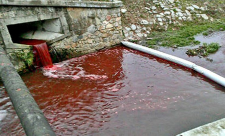 Người dân ở thị trấn Myjava đang xôn xao về dòng sông đỏ như máu
