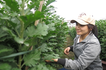 Nhiều sinh viên phụ làm vườn với nhà nông ở làng hoa Hòa Cường, Đà Nẵng để kiếm thêm mùa Tết.
