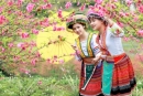 Thời tiết các tỉnh trên cả nước ngày mùng 4 Tết (3/2/2014)