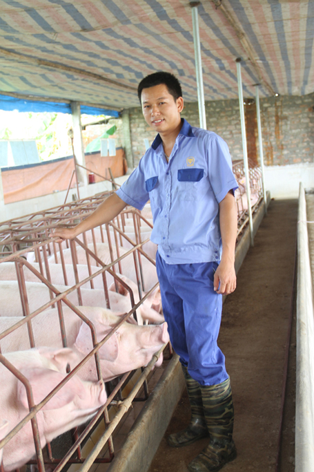 Khu chăn nuôi lợn nái sinh sản của anh Nguyễn Văn Hịu.