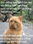 Ảnh vui: \