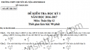 Đề thi học kì 1 lớp 12 môn Toán - THPT Chuyên Amsterdam 2016 -2017