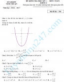Đề thi học kì 1 môn Toán 12 - Sở GD&ĐT Ninh Thuận năm 2016-2017