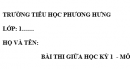 Đề kiểm tra giữa học kỳ 1 môn Tiếng Việt lớp 1 - Tiểu học Phương Hưng 2018