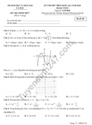 Đề thi thử THPTQG 2019 môn Toán - Sở GD Cà Mau