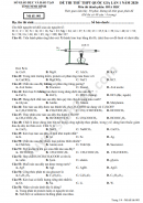 Đáp án đề thi thử THPTQG môn Hóa Sở Ninh Bình lần 1 năm 2020