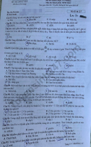 Đáp án đề thi tốt nghiệp THPT môn Sinh năm 2020 mã đề 217
