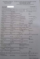 Đáp án đề thi môn Hóa mã đề 202 thi tốt nghiệp THPT năm 2020