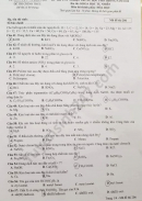 Đáp án đề thi môn Hóa tốt nghiệp THPT 2020 mã đề 206