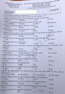 Đáp án đề thi môn Hóa mã đề 205 tốt nghiệp THPT năm 2020