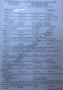 Đáp án đề thi tốt nghiệp THPT môn Sinh năm 2020 mã đề 201